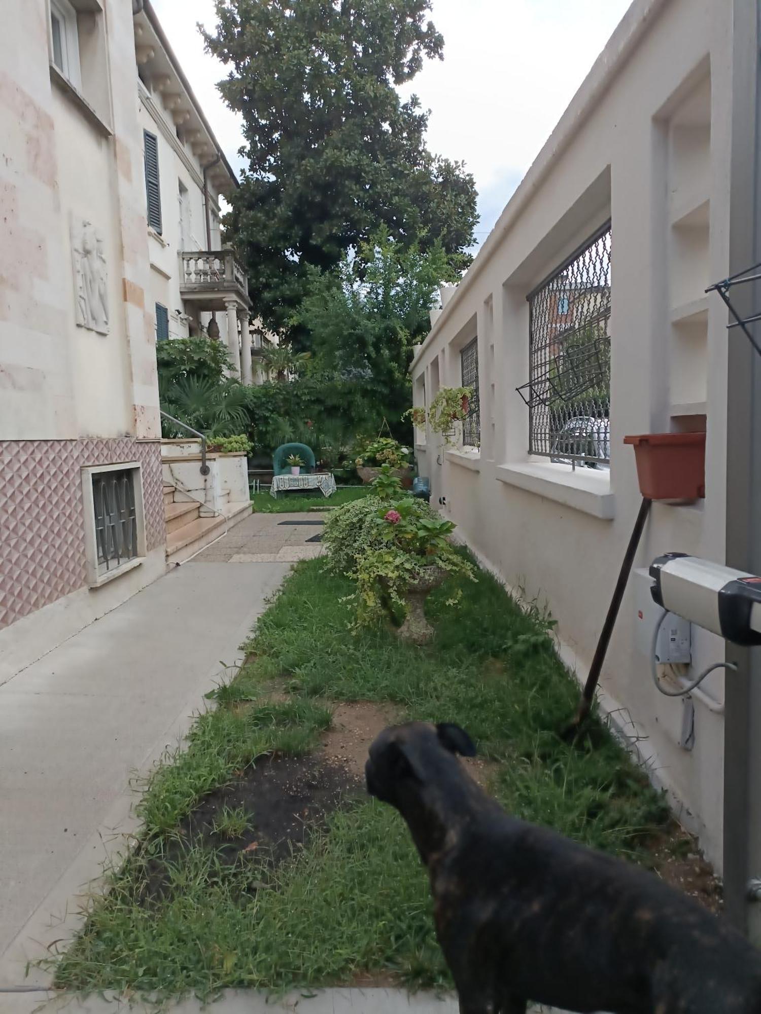 马维帕杰住宿加早餐旅馆 维罗纳 外观 照片