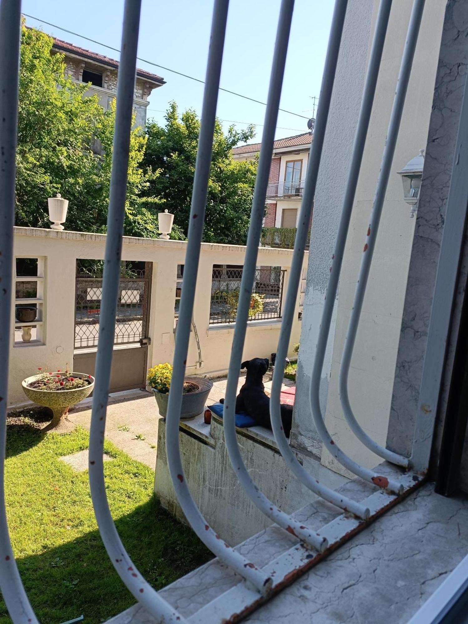 马维帕杰住宿加早餐旅馆 维罗纳 外观 照片